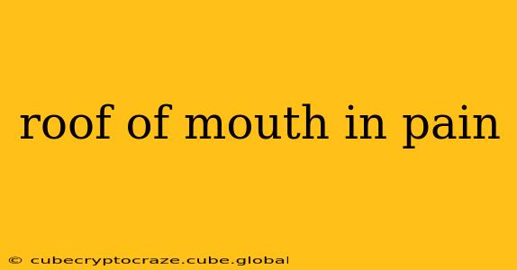 roof of mouth in pain