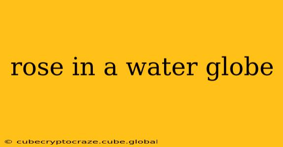 rose in a water globe