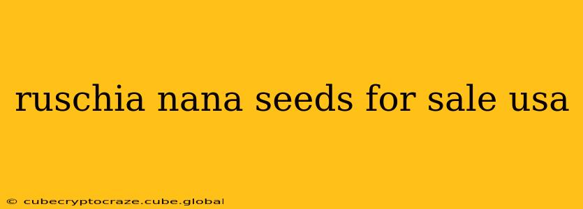 ruschia nana seeds for sale usa