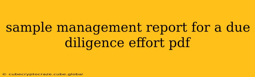 sample management report for a due diligence effort pdf