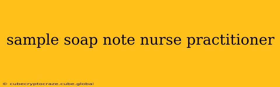 sample soap note nurse practitioner