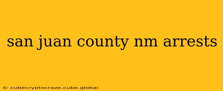 san juan county nm arrests
