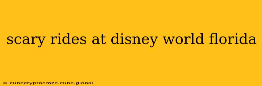 scary rides at disney world florida