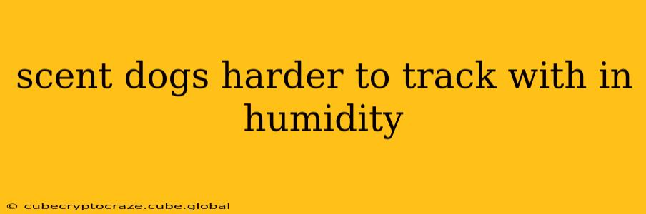 scent dogs harder to track with in humidity