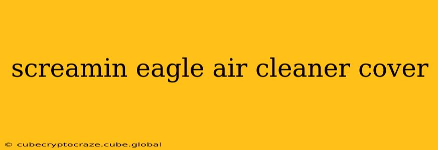 screamin eagle air cleaner cover