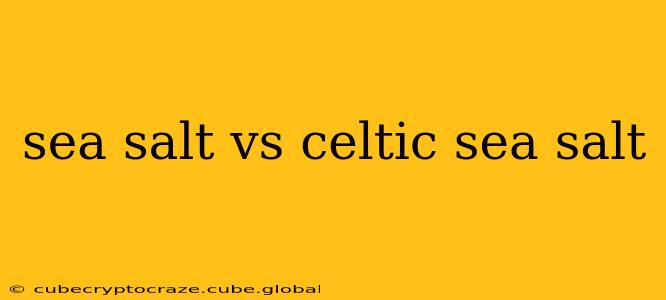 sea salt vs celtic sea salt