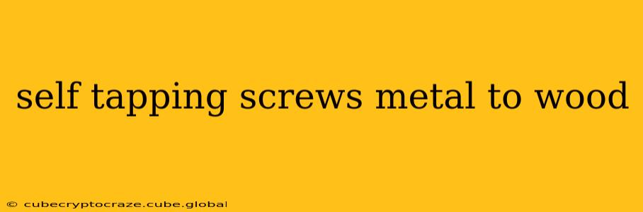 self tapping screws metal to wood