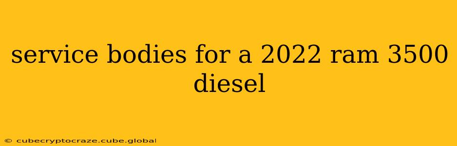 service bodies for a 2022 ram 3500 diesel
