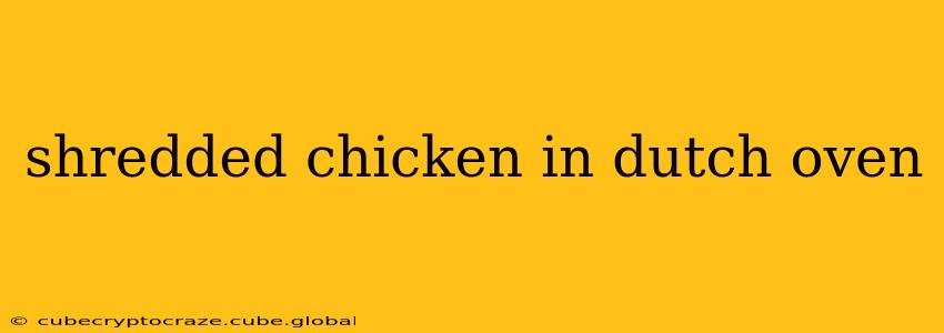 shredded chicken in dutch oven