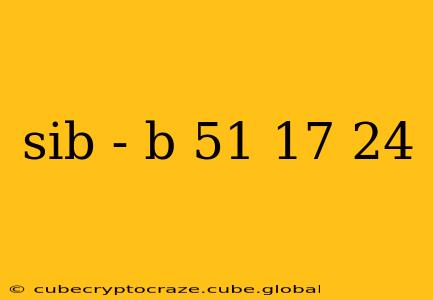 sib - b 51 17 24