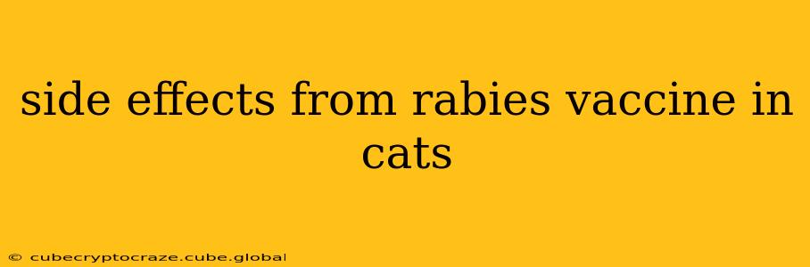 side effects from rabies vaccine in cats