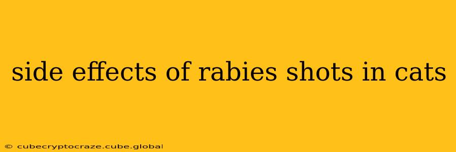 side effects of rabies shots in cats
