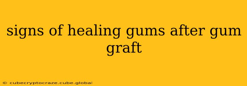 signs of healing gums after gum graft