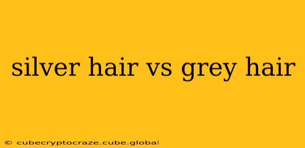 silver hair vs grey hair