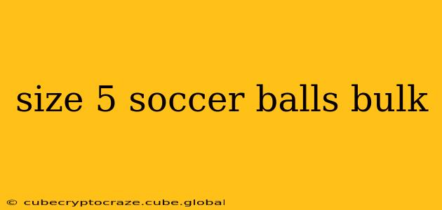 size 5 soccer balls bulk