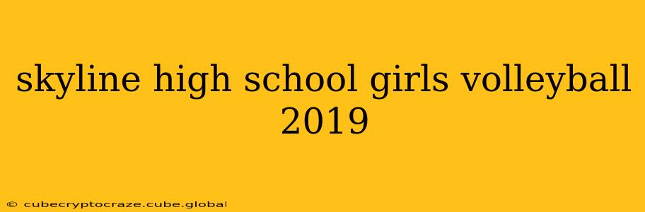 skyline high school girls volleyball 2019