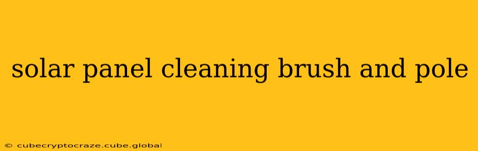 solar panel cleaning brush and pole