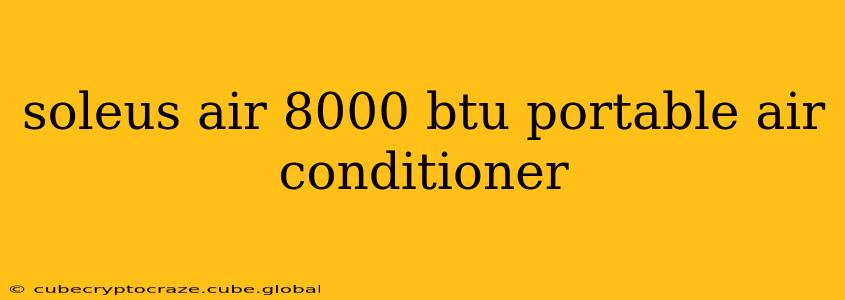 soleus air 8000 btu portable air conditioner