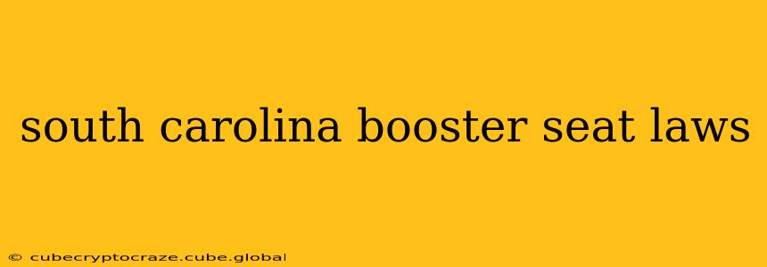 south carolina booster seat laws