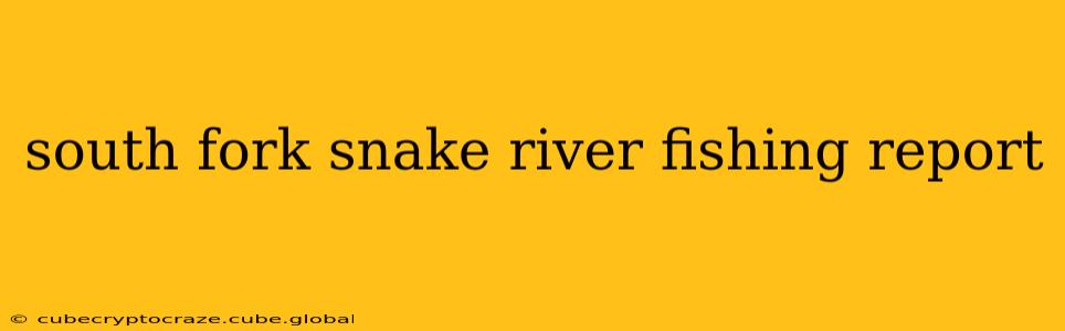 south fork snake river fishing report