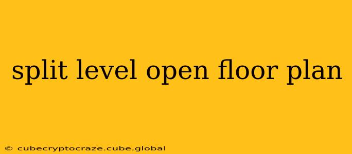 split level open floor plan