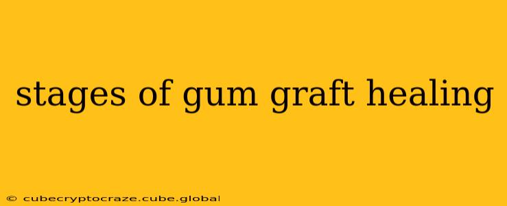 stages of gum graft healing