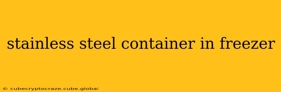 stainless steel container in freezer