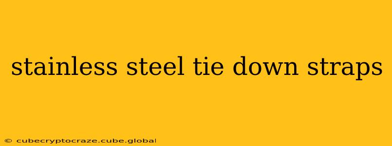 stainless steel tie down straps