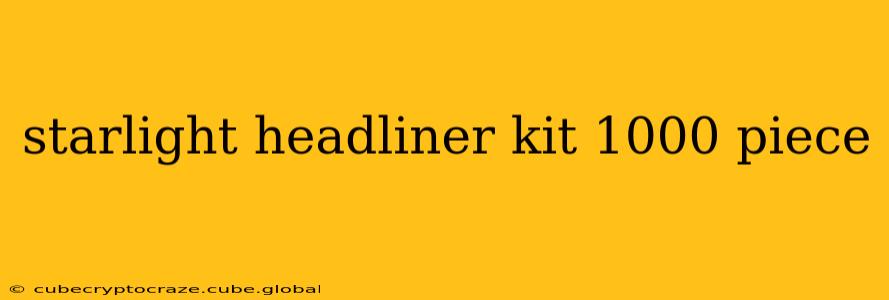 starlight headliner kit 1000 piece
