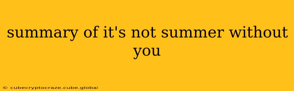 summary of it's not summer without you