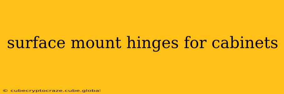surface mount hinges for cabinets