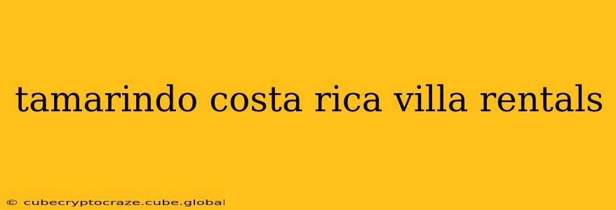 tamarindo costa rica villa rentals