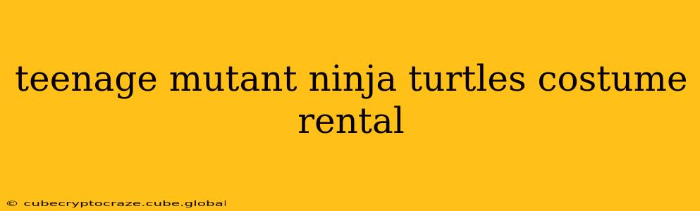 teenage mutant ninja turtles costume rental