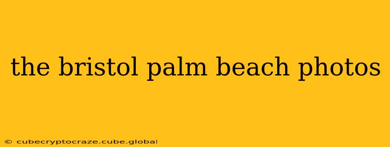 the bristol palm beach photos