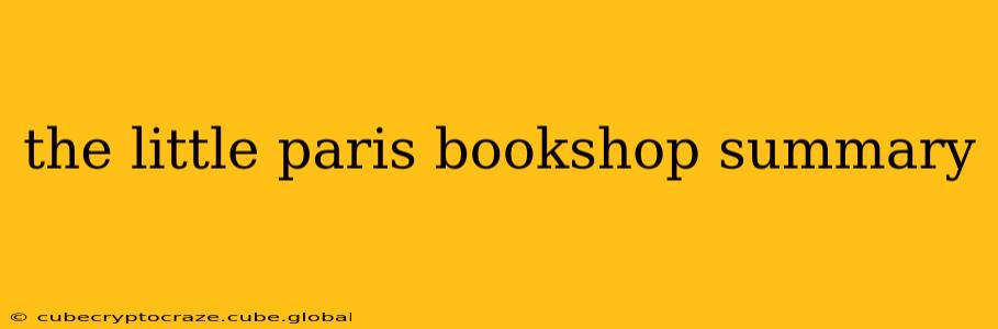 the little paris bookshop summary