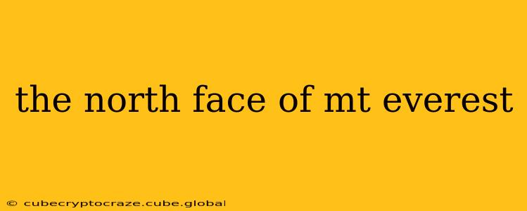 the north face of mt everest