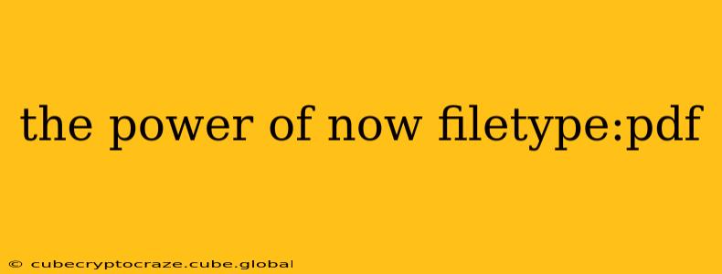 the power of now filetype:pdf