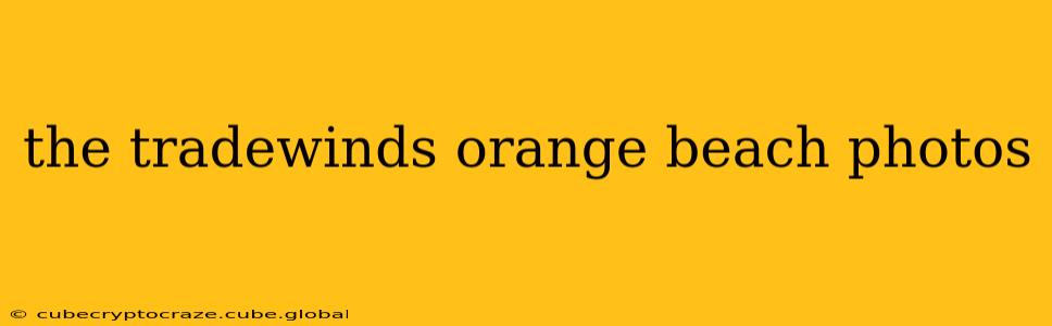 the tradewinds orange beach photos