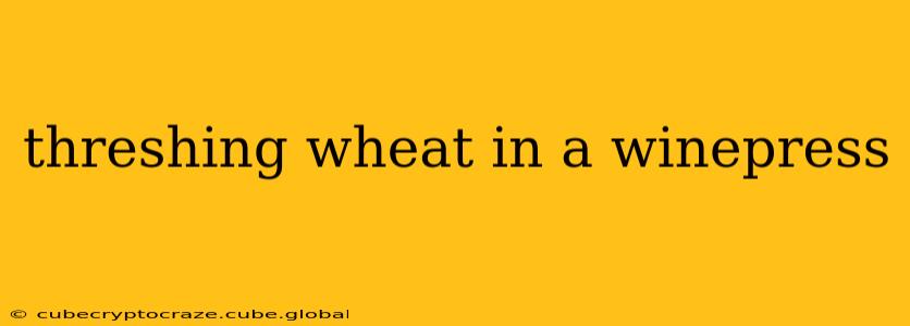 threshing wheat in a winepress