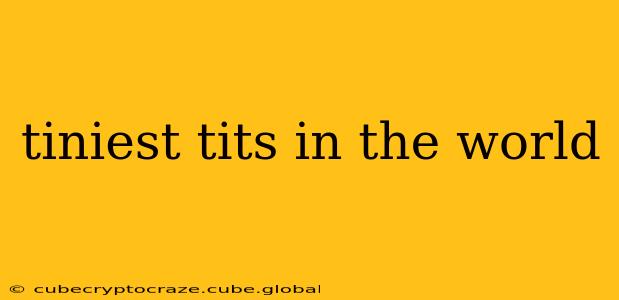 tiniest tits in the world tiniest tits in the world