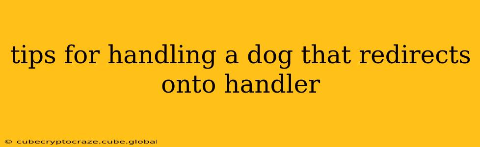 tips for handling a dog that redirects onto handler