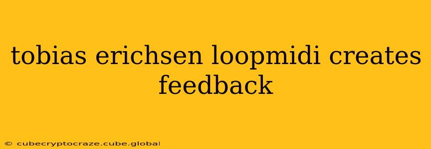 tobias erichsen loopmidi creates feedback