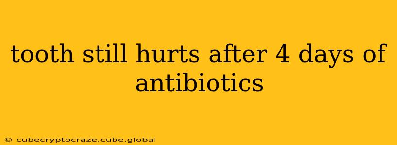 tooth still hurts after 4 days of antibiotics