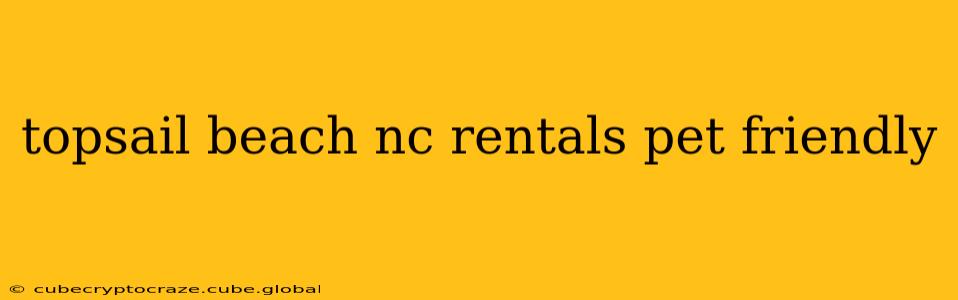 topsail beach nc rentals pet friendly