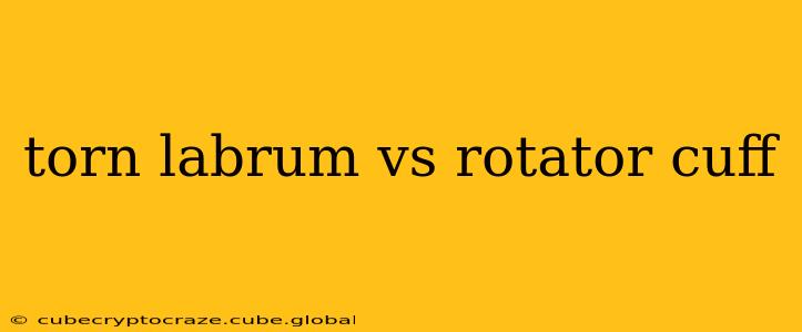 torn labrum vs rotator cuff