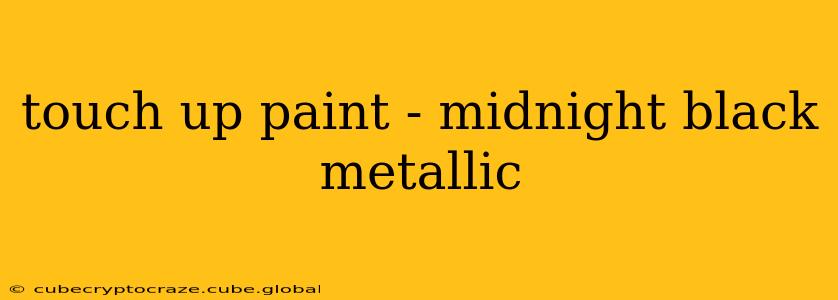 touch up paint - midnight black metallic