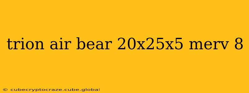 trion air bear 20x25x5 merv 8