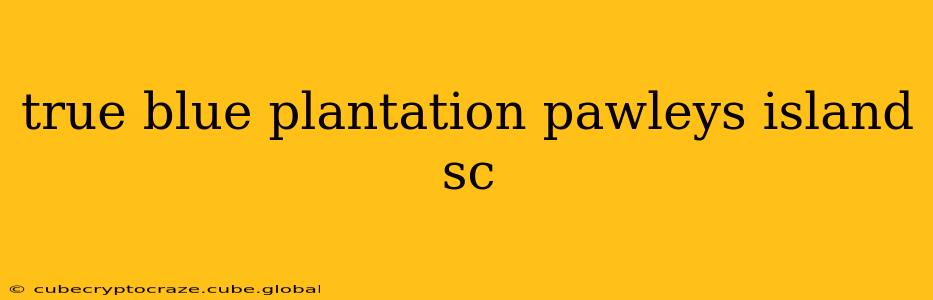 true blue plantation pawleys island sc