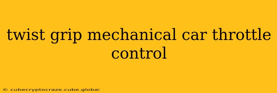 twist grip mechanical car throttle control