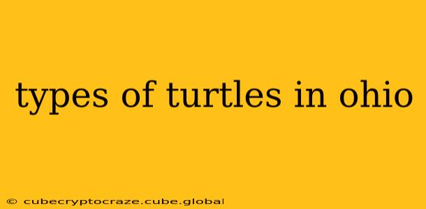 types of turtles in ohio